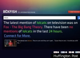 Boxfish, The Twitter For TV Exclusive Trial