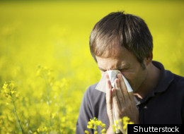 Certaines allergies sont différentes, bizarres, et n'ont rien à voir avec les allergies saisonnières.