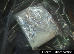 Jasmin Klair, 20, was caught attempting to smuggle almost 24 pounds of cocaine (not pictured) over the Canadian border the Smuggler's Inn in Blaine, Washington.