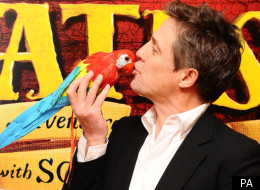 Hugh Grant at the Pirates! In an Adventure With Scientists premiere