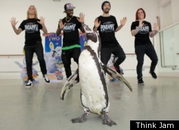 Charlie with the Pineapple Dance Studio Dancers