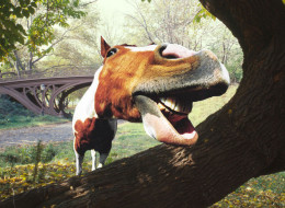 Weird Horse with a pig