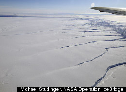 Rifts along the northern shear margin of Pine Island Glacier (upper right of image).