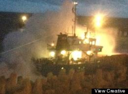 The rescue was watched by employees of nearby design firm View Creative