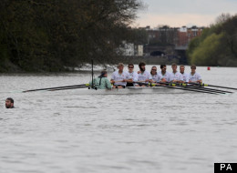 The swimmer in the Thames who brought today's Boat Race to a temporary halt has been arrested on suspicion of a public order offence and is being held in custody at a west London police station while inquiries are carried out, Scotland Yard said.