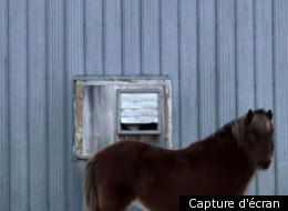 Capture d'écran