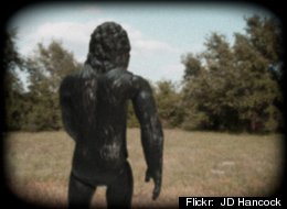 Animal Planet's 'Finding Bigfoot' is looking for Bigfoot in Houghton Lake, Mich. Flickr: JD Hancock