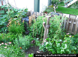 www.agriculturemontreal.com/