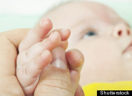 New moms at one Australian company got some good news recently.