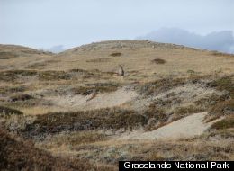 Grasslands National Park