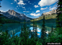 shutterstock