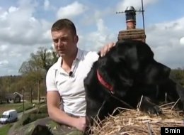 Axel the Newfoundland gets a lift down the ladder from the roof thanks to his owner, thatcher Richard Haughton.