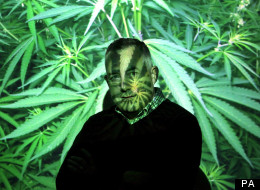 Phil Butler is trying to develop technologies to fight cannabis farming