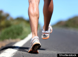Shutterstock