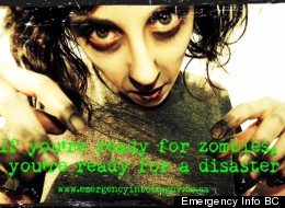 Image du site Web EmergencyInfo BC. (EmergencyInfoBC)