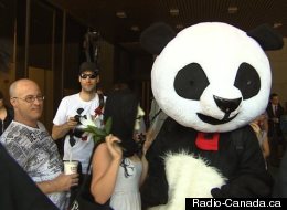 Anarchopanda. (Radio-Canada.ca)