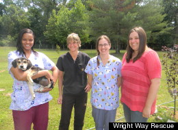 Volunteers who work with Wright Way Rescue, a Niles, Ill.-based initiative that rescues rural pets and works to find them city homes.