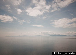 Flickr: f_shields