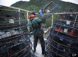 Fatigue, unsafe work practices and a lack of training continue to put fishermen at risk despite hundreds of safety investigations and subsequent recommendations, the Transportation Safety Board said Thursday in a report. (CP/John Lehmann )