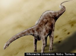 Diplodocus’ eating habits have been revealed by a technique called finite element analysis.