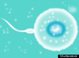 Shutterstock