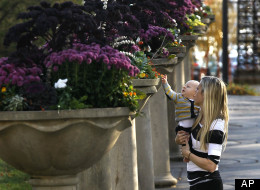 Angela Olson plays with her 7-month-old son Tate in Chicago's Grant Park Tuesday, Nov. 15, 2011. Temperatures remain unseasonably warm for November in the Chicago area. (AP Photo/Charles Rex Arbogast)