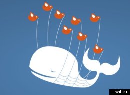 The 'Fail Whale,