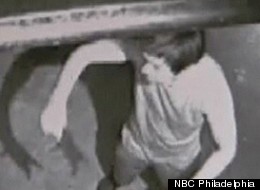 Yu Zhen Chen is accused of animal cruelty after police said they discovered surveillance footage of the restaurant owner swinging cats around by their tails.