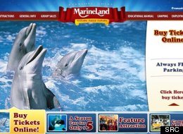 Le parc marin Marineland est une attraction touristique majeure en Ontario. Photo : Marineland