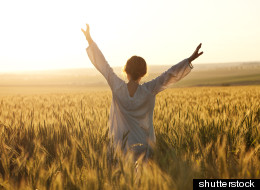 shutterstock