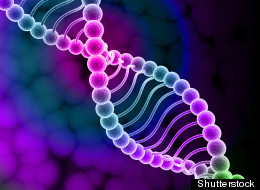 Scientists have found a way to store an entire textbook in the code of DNA.