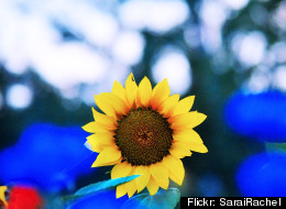 Flickr: SaraiRachel