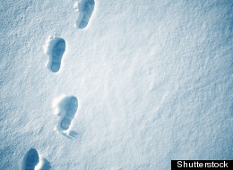 Private-sector help and innovative designs are making headway in improving substandard housing in Canada's North, says a new report from the Conference Board of Canada.SHUTTERSTOCK