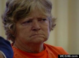 Carol Field, 66, pleaded guilty to six counts of arson for starting a string of fires across southern Maine.