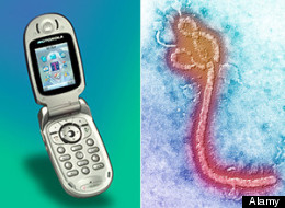 An alleged thief has developed a case of Ebola after he stole a contaminated phone from an infected hospital patient. (Alamy)