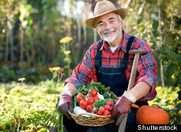 Shutterstock