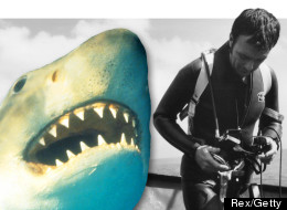 Shark expert Ron Taylor died on Sunday