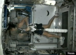 Astronaut Sunita Williams