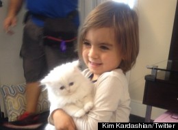 Kim Kardashian's kitten has Mason Disick obsessed.