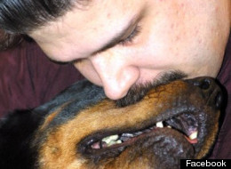 Brian Cutteridge will serve three years' probation after pleading guilty to having sex with two dogs. (Facebook)