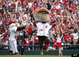Teddy wins!
