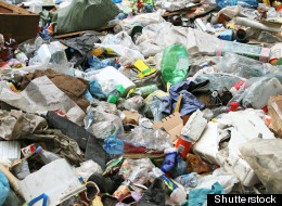 (Shutterstock)