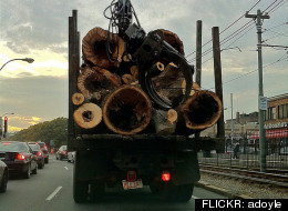 A driver was killed after a rock fell off a logging truck and crashed through the windshield of his pickup truck Wednesday. (<a href=