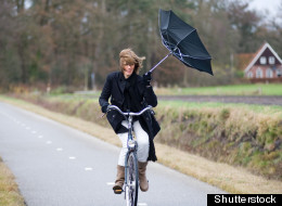 Shutterstock