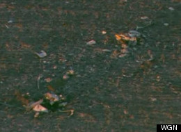 A pilot and two flight nurses were killed in the medical helicopter crash in northern Illinois.