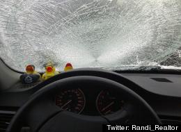 TI Corp., which runs the Port Mann Bridge, will pay for damage to vehicles caused by falling ice. (Twitter: Randi_Realtor)