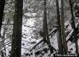 Two snowboarders have been rescued from the Montizambert Creek area in one week. (Flickr: <a href=