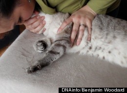 Sandra Castro gives mouth-to-mouth to her cat, Luna.