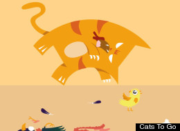Cats To Go seeks to rid New Zealand of feline friends. (Cats To Go)