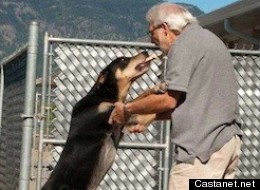 Castanet.net